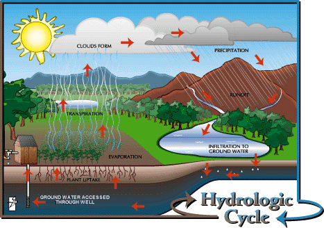 hydrologic cycle image