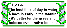 best time of day to water lawn fact diagram