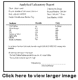 lab report diagram