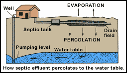 septic tank diagram