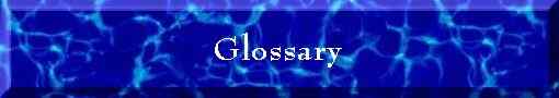 Glossary